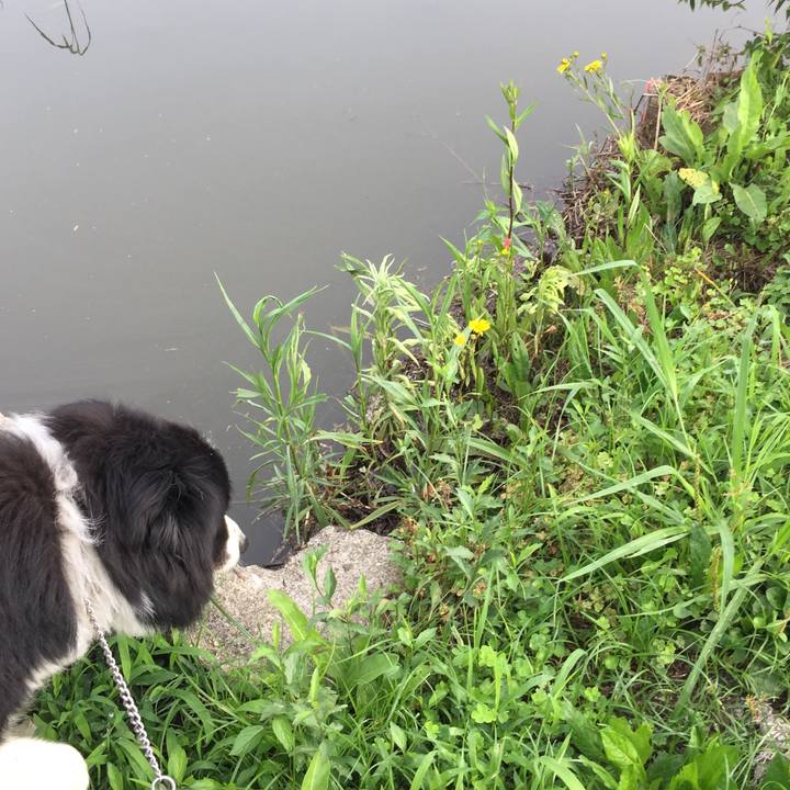 71f24b36 4874 4cdf a187 277bd3a540d6 1562283995720