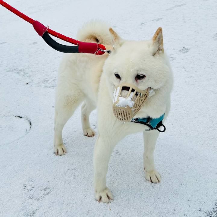 71f265d8 c5b5 4cd4 9cf0 3a1178905d72 1732400441159