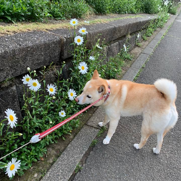 71f27c99 c927 42ee 93a4 fef72af4048a 1650499362703