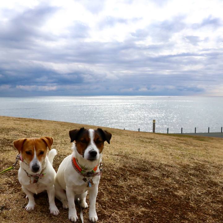 71f2a808 cd36 43a4 b29a a171597d8909 1549774609984