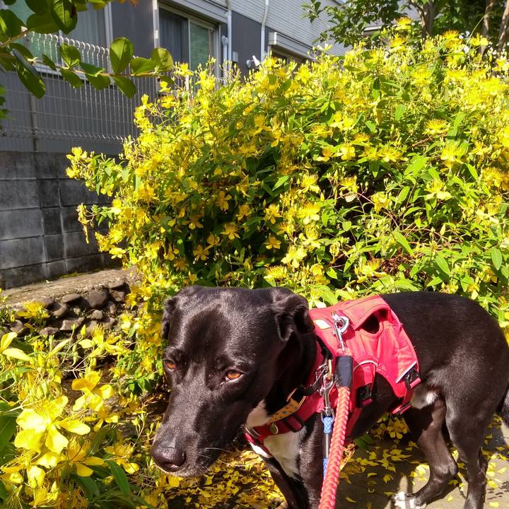 71f2b294 2e60 49df 8479 646fa0ca2c48 1591662520300