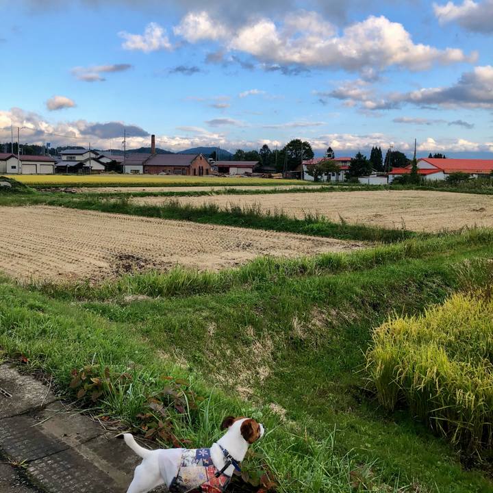 71f2cd6e fca1 4421 a2bf 73a5c74ba729 1601541412756