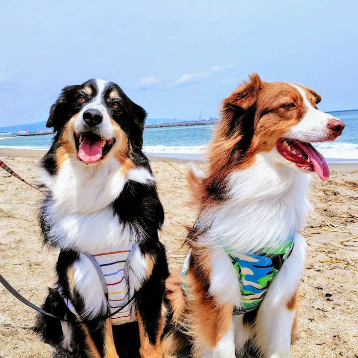 71f2dc3b 23bc 4e85 974a 0411a4069adc 1755342987375