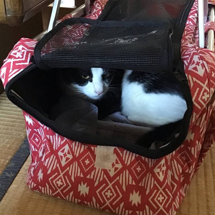 71f2ead5 a0ab 4f26 822f 7340db0e5690 1663145489435