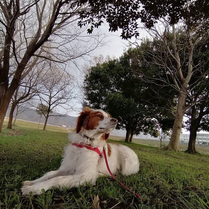 71f32162 74ae 4df8 91ea 3357766c2838 1583913710336