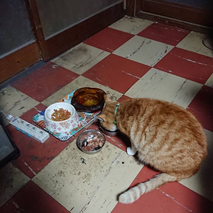 71f3477b 920e 447c bcf2 56a872414108 1586635821675