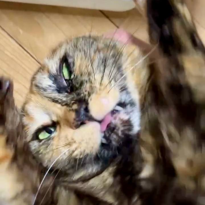 71f3b651 a807 431c 95b6 6ee4ec7cf4c5 1738525355232