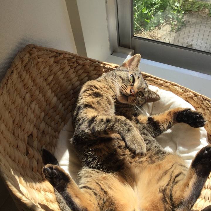 71f3c21a 50d8 4eeb bf08 a2c5fed77840 1522372467782