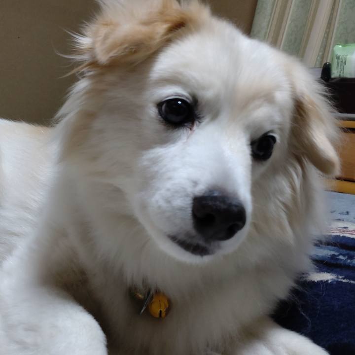 71f3c245 dc30 40a5 b020 a5354b5a0c00 1652389633446