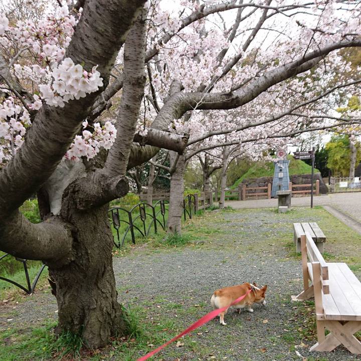 71f3c81d af5d 4702 9552 c6d89389efd9 1616646809943