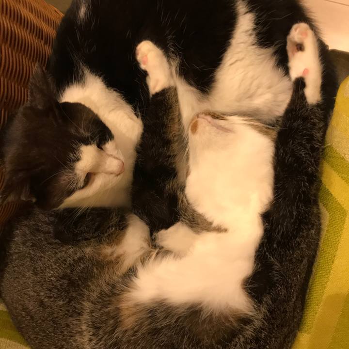 71f401d6 1dbc 4377 950c 971fb15152f3 1602422689114