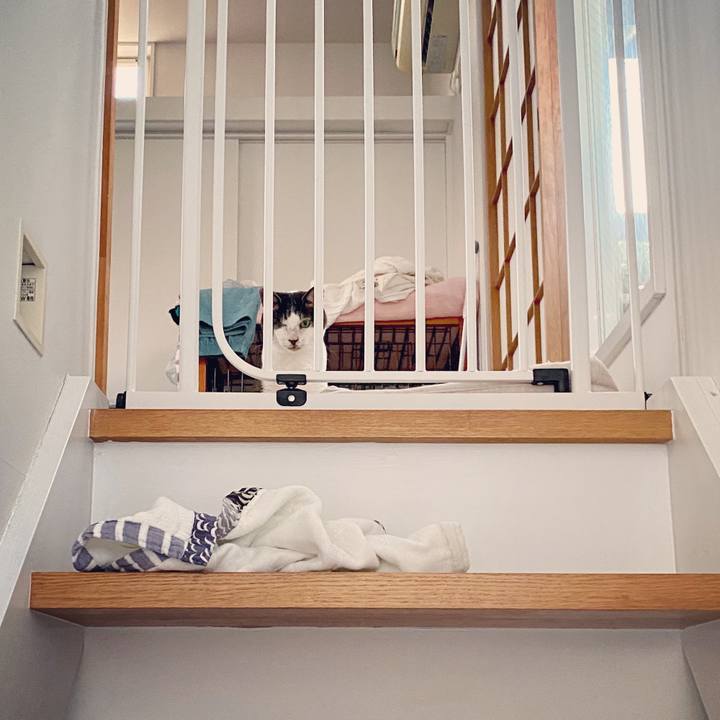 71f4326f b2ef 4ab9 9753 37b48182a4f4 1592218800531