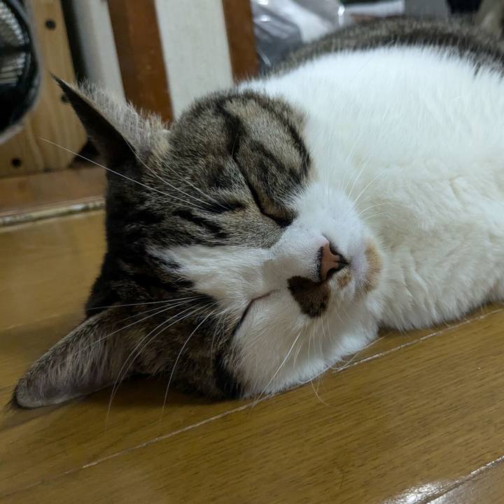 71f44d00 cef4 4777 9f76 0d105ba72584 1724589688708