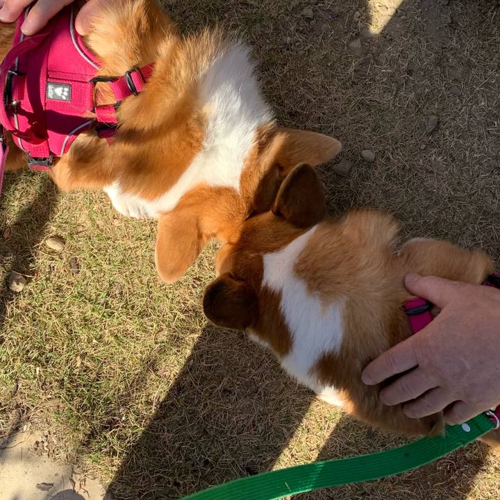 71f46d3b 6340 4a61 9c10 31e6d850bd93 1638069179432