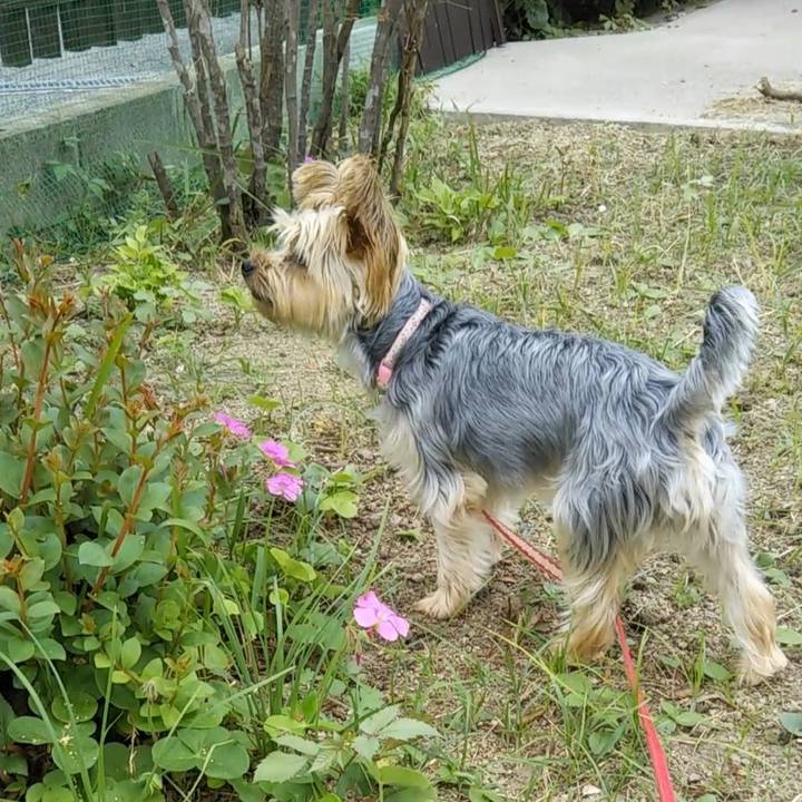 71f503ed fdbf 4e91 b67b 8d235438b8b7 1634103511812