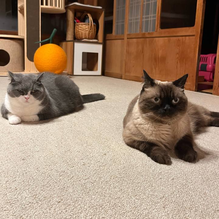 71f50824 a79c 4711 a51f 9089fe5467a6 1725880366160