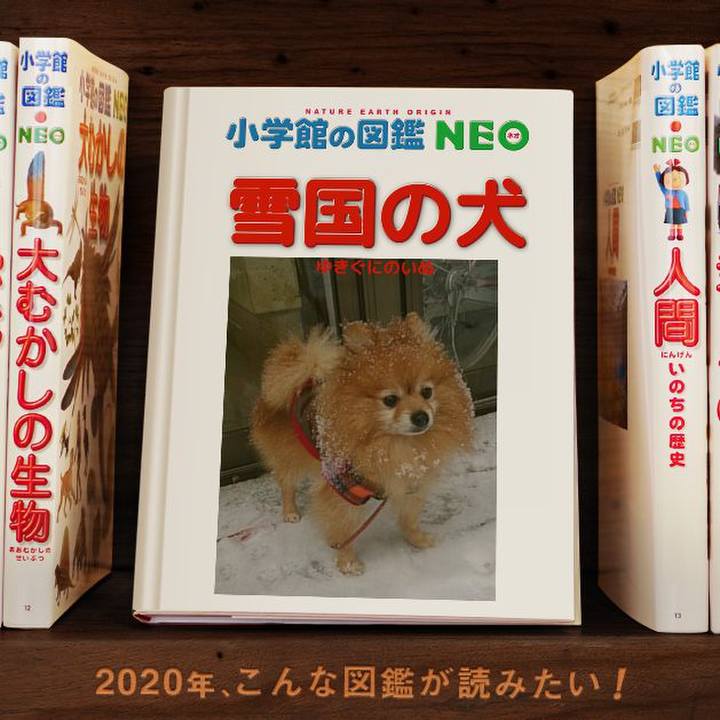 71f51e71 779d 4200 984b 17900fb001d8 1578137610953