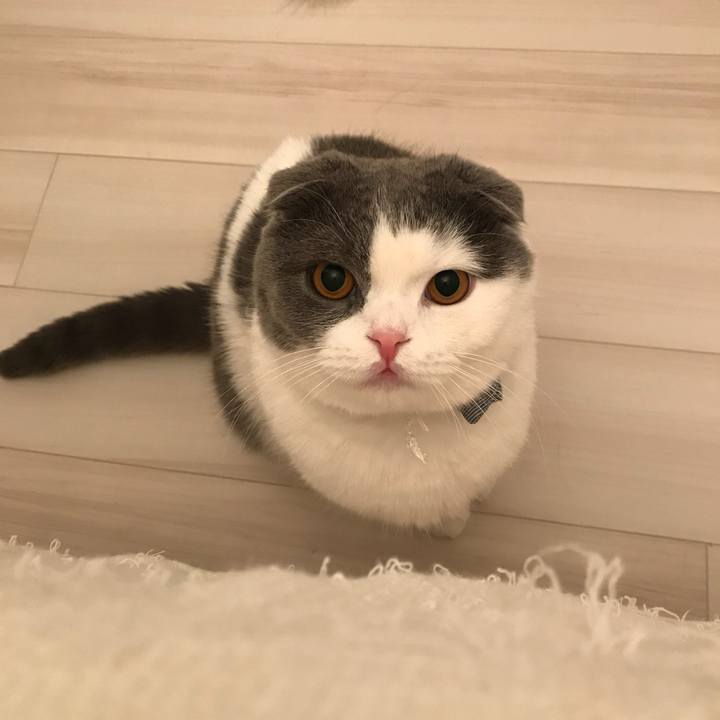 71f529b8 6ec5 45b0 aedd 17fab9001836 1523745617187