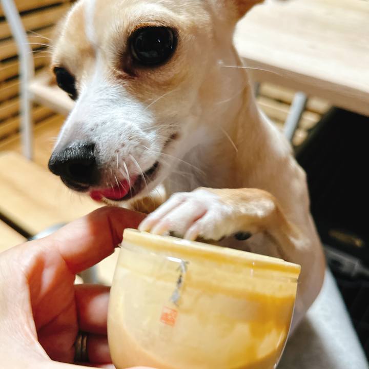 71f535e6 ba53 4517 aea9 a4fdc3283c2e 1700626666456