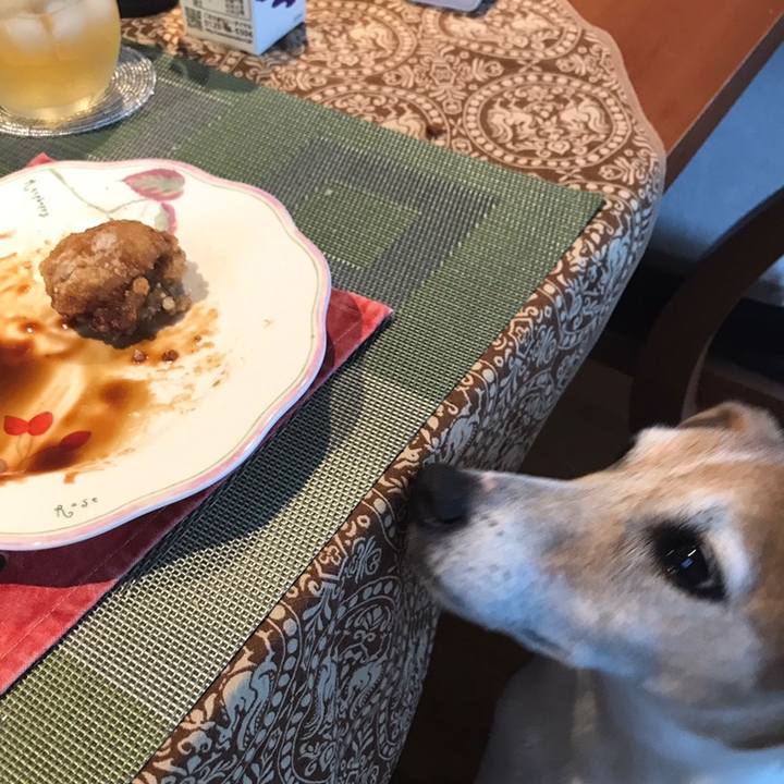 71f54ecb 5145 4e9f 9e9c 6d37296eeb17 1559906581181