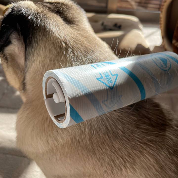 71f56b29 5ed5 417c abc5 277fd66da642 1610588280105