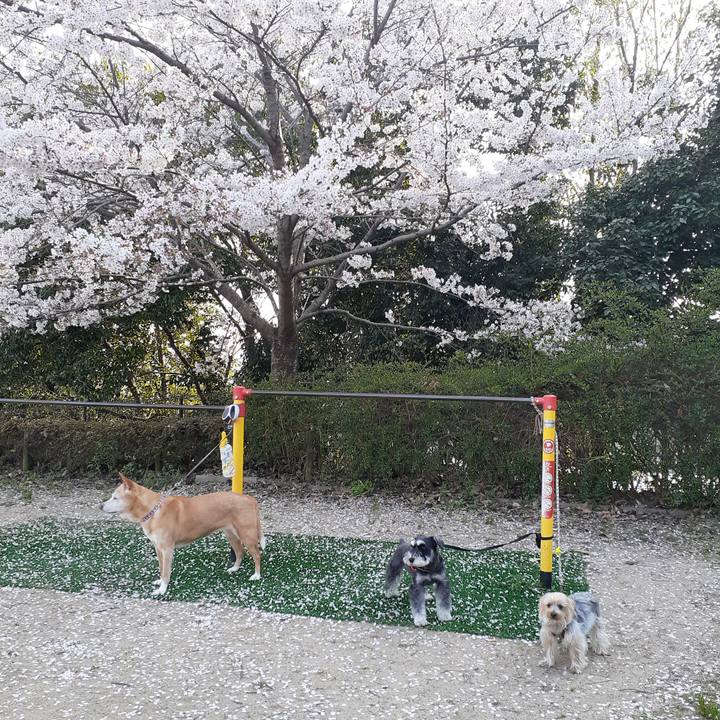 71f57209 2b8e 4309 91c2 143374b5ac91 1680338108135