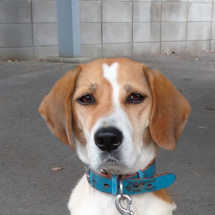 71f58b18 0fd4 47cc a3d4 1e81dd6f4ad5 1603343202986