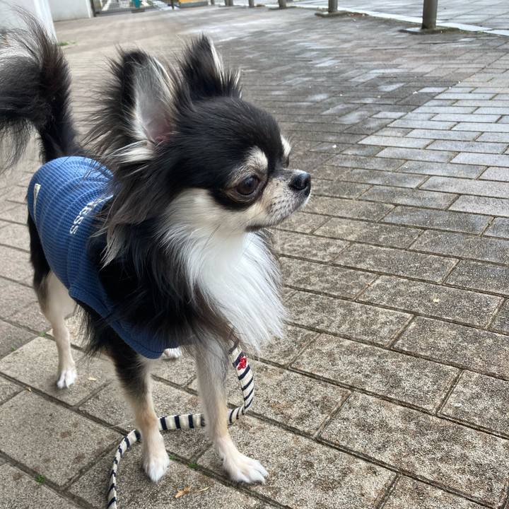 71f5fe57 2019 459e 9d76 3a078903b7aa 1617511742516