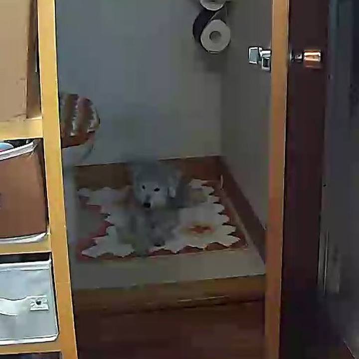 71f6317a 074e 40dc 932c 4e1d65ec7f22 1637963986450