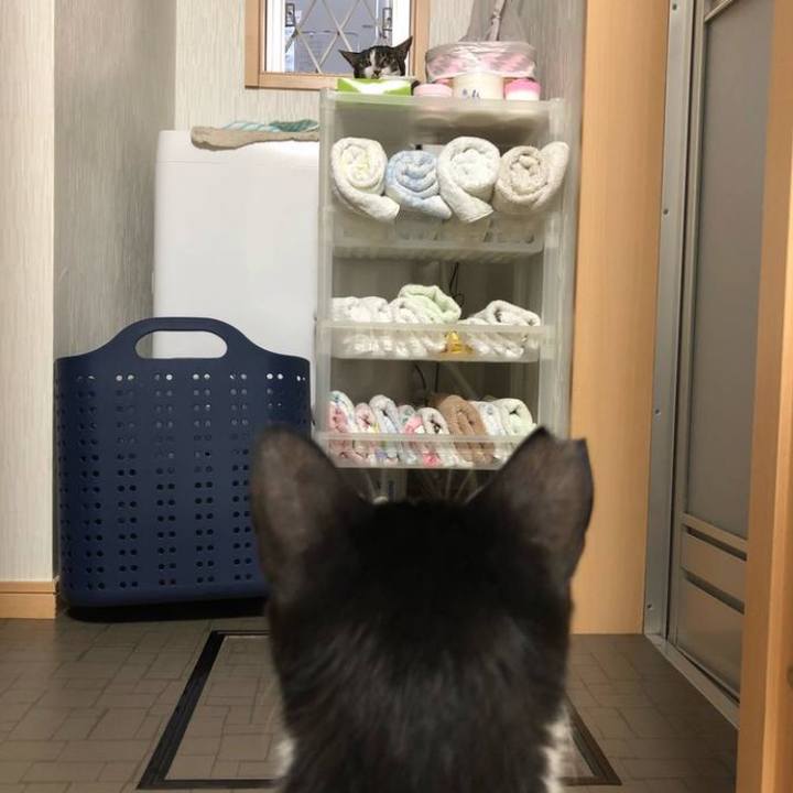 71f64b02 3f07 4235 a1f9 620b43b873f0 1625405156826