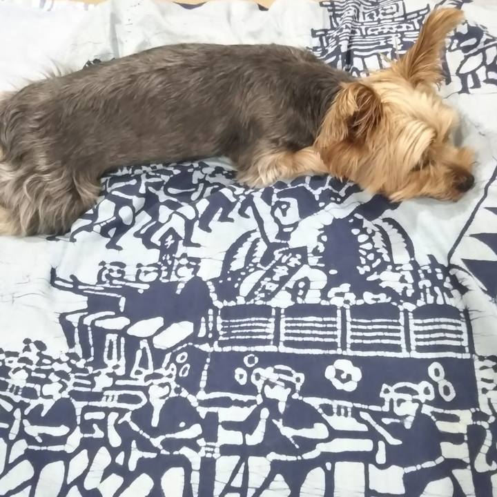 71f66e1f ea42 4528 a101 92b563b870c2 1626324454054