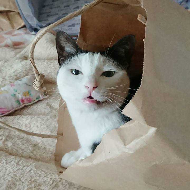 71f67ade 4546 4faa 825c 60161f02257e 1525782344172