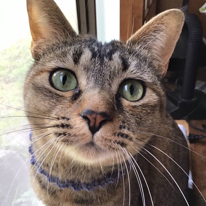 71f69152 95ba 4ff4 93be b02366e090f0 1616990430784