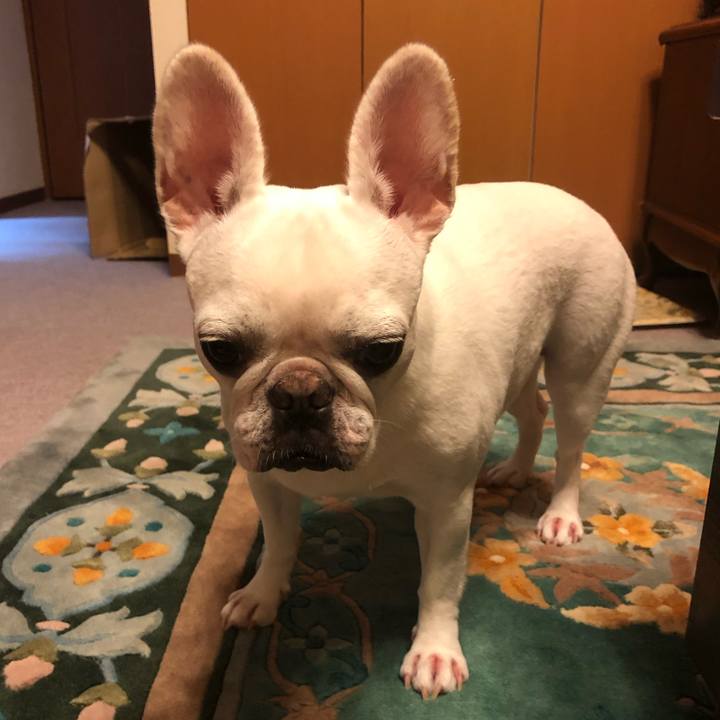 71f6ed7a 2c4e 4e48 8d2e 493379b946e0 1599312210461