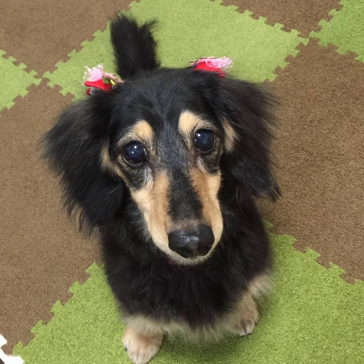 71f6febb 040c 45ec a8af fb15c59712a1 1520261051686