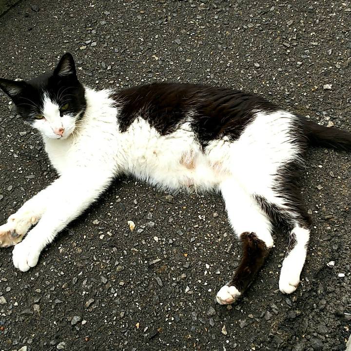 71f70edf 4f6a 47f2 8eaa 9bfc5359576a 1526448983814