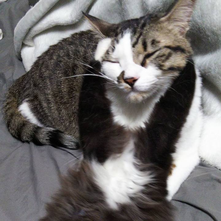 71f727bb 365c 47bd 905b 4f5b54ddd4c9 1641114706361