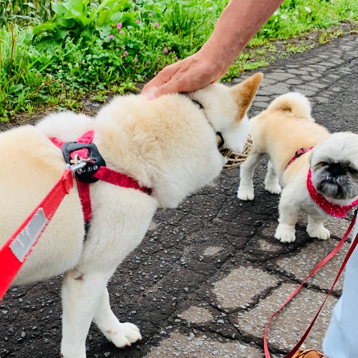 71f7362d 91f9 4afa 8d25 f7eee9786408 1565648271003