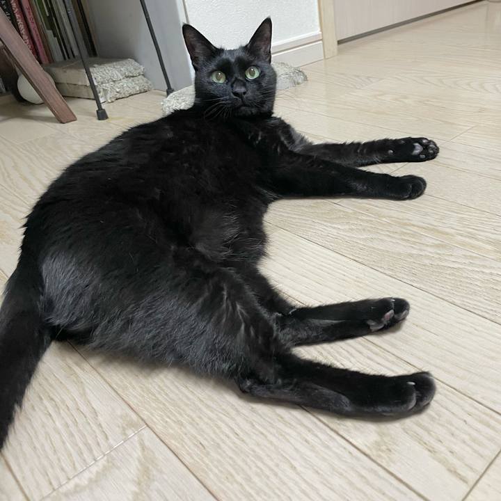 71f73e0b 116a 4db4 9db4 ae4114baef92 1647004838481