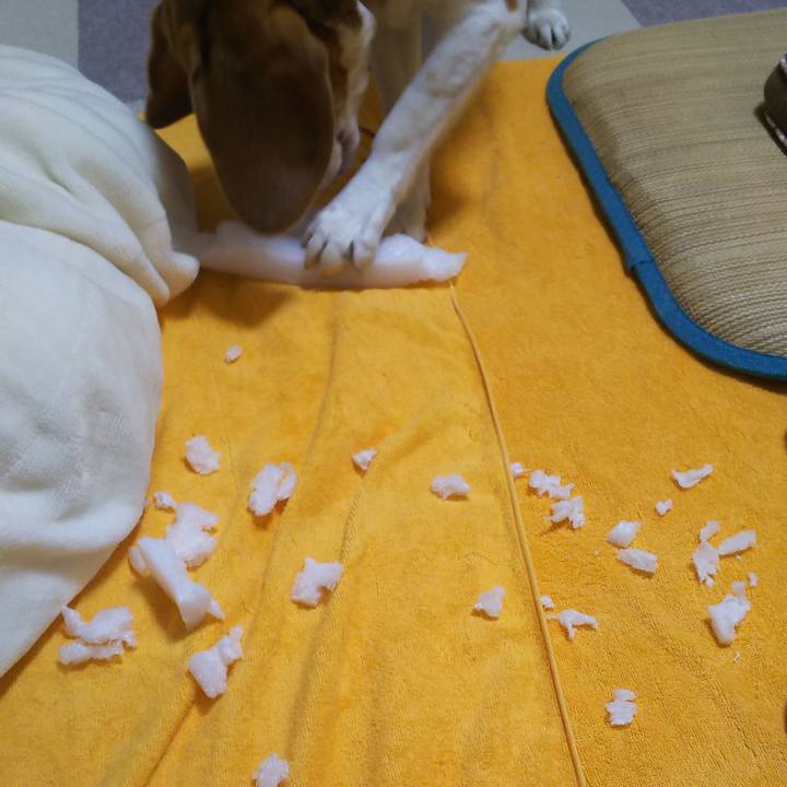 71f74ea0 93a7 42fa b12f b688f7118598 1640686131868