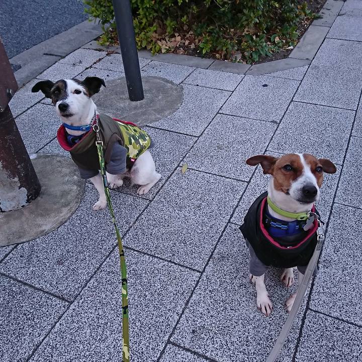 71f769c5 865c 4219 83e8 d85bb1d99444 1548280223629