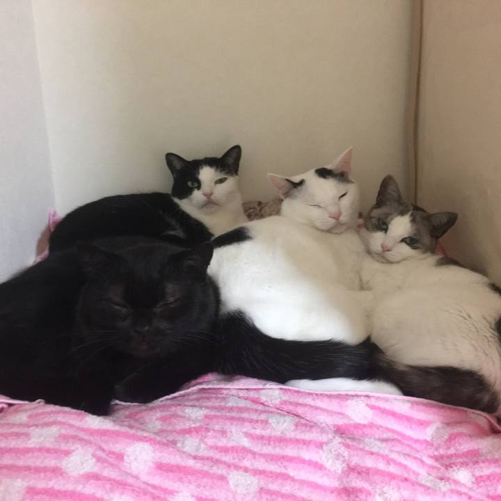 71f77d39 3b62 4fe4 a058 9d2d1c63c2f0 1544012855120