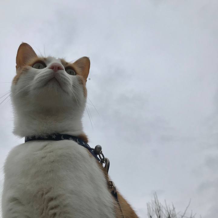 71f7845b 9862 4647 bf25 68951170f9fc 1524021252510