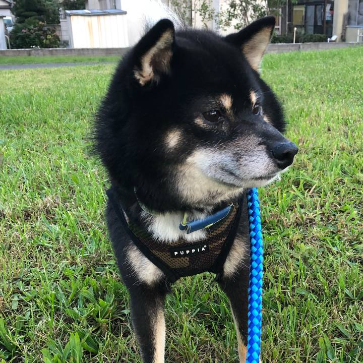 71f81ad2 ca20 466b 85e5 1d22f010772a 1537756949168