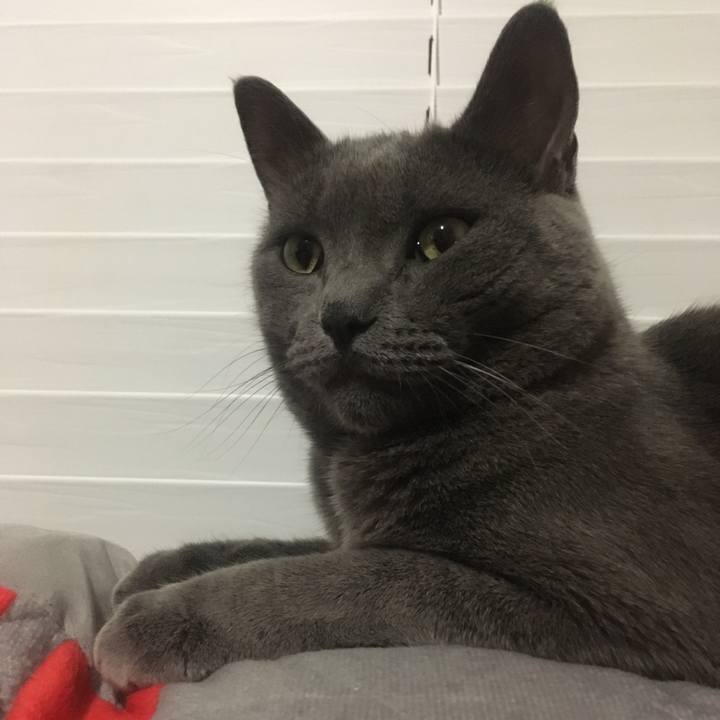 71f83c14 7701 420a a2a4 c932bc478887 1636424984349