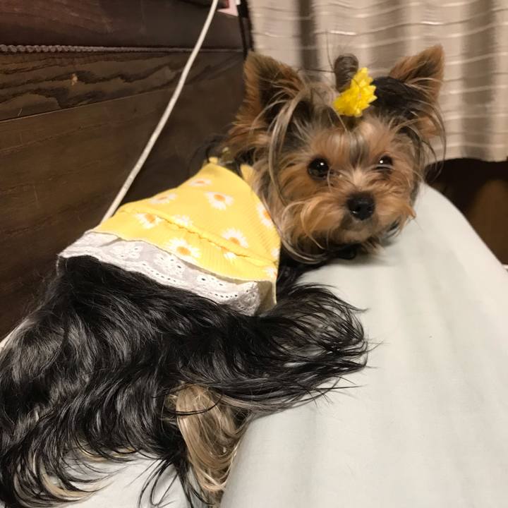 71f84af5 7632 4e1b 8738 9c69026289d0 1659959800154