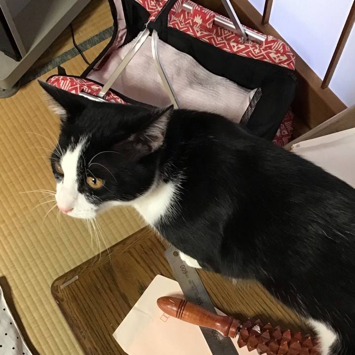 71f86581 b828 4943 8f64 7da1eec36ce1 1636674111277