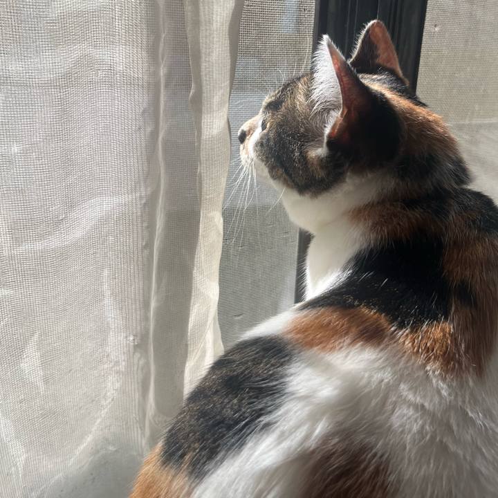 71f8763c b0e6 41a4 91f0 da5afed0948b 1757548545937