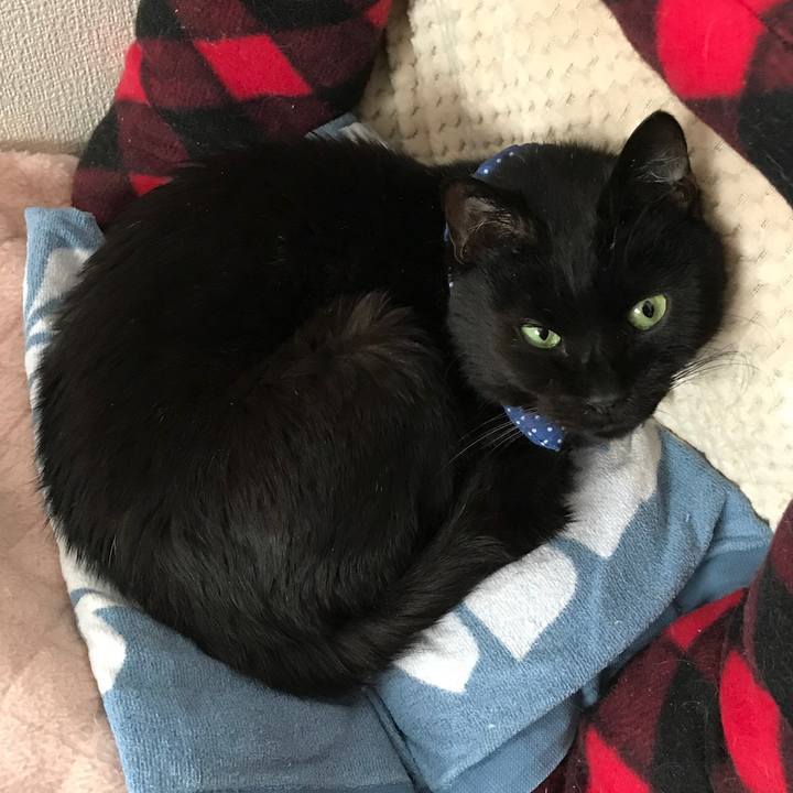 71f87cf9 2173 4a67 b072 6b5120453951 1561249837979