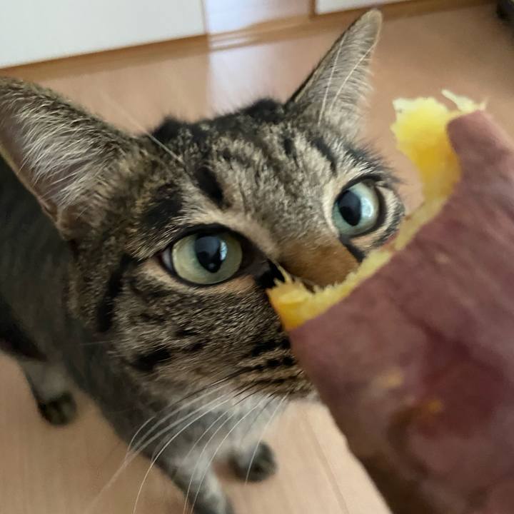 71f89df3 5f73 4e43 97c9 df1085c5a46c 1677152454023